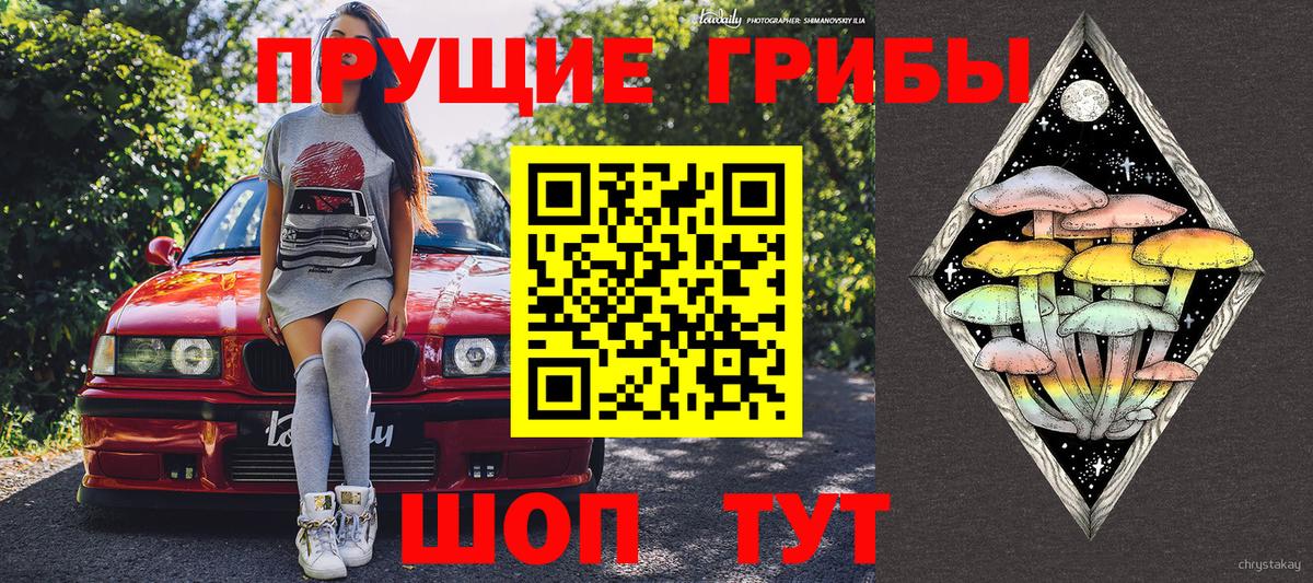 Галлюциногенные грибы Cubensis Муравленко